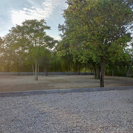 Il Giglio B&B Asola ภายนอก รูปภาพ